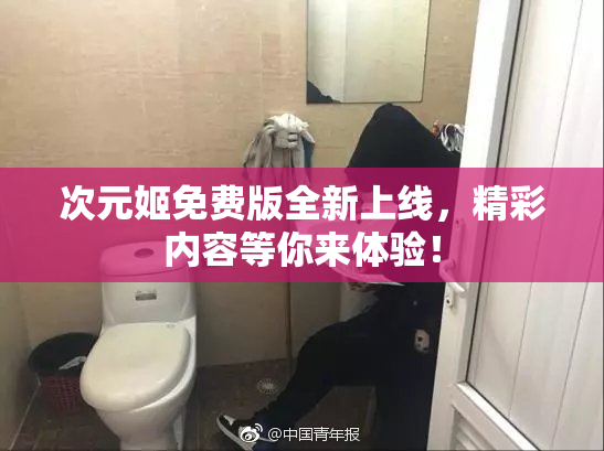 次元姬免费版全新上线，精彩内容等你来体验！