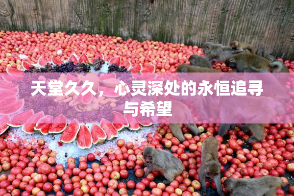 天堂久久，心灵深处的永恒追寻与希望