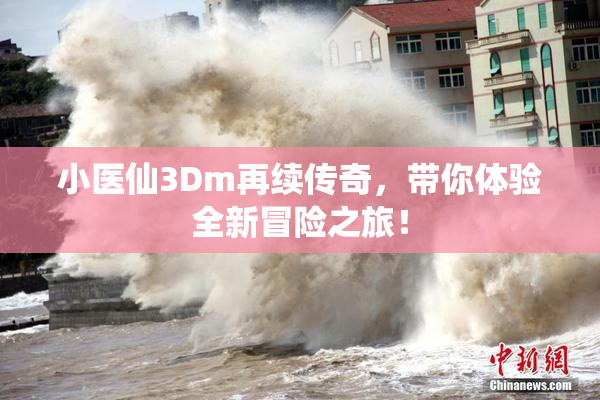 小医仙3Dm再续传奇，带你体验全新冒险之旅！