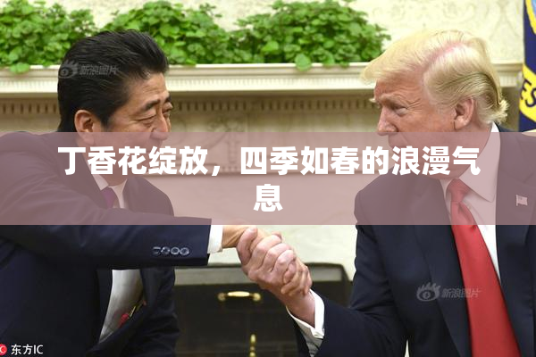 丁香花绽放，四季如春的浪漫气息