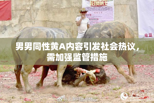 男男同性黄A内容引发社会热议，需加强监管措施