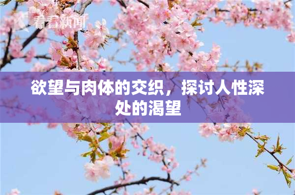 欲望与肉体的交织，探讨人性深处的渴望