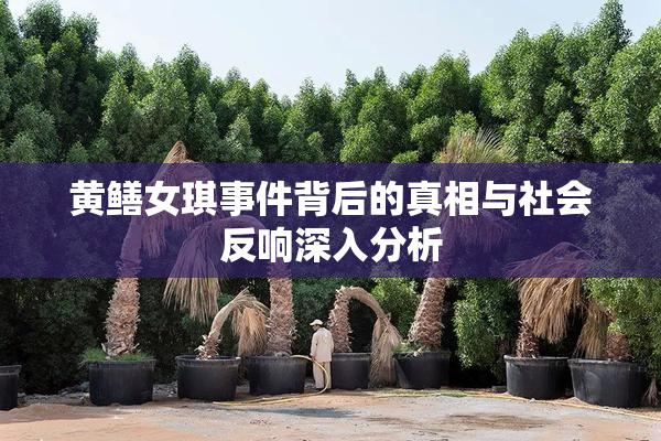 黄鳝女琪事件背后的真相与社会反响深入分析