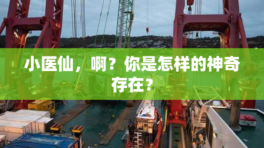 小医仙，啊？你是怎样的神奇存在？