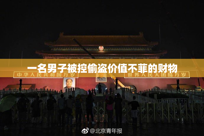 一名男子被控偷盗价值不菲的财物