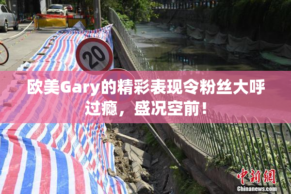 欧美Gary的精彩表现令粉丝大呼过瘾，盛况空前！
