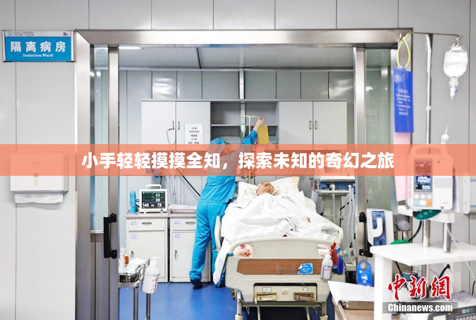 小手轻轻摸摸全知，探索未知的奇幻之旅
