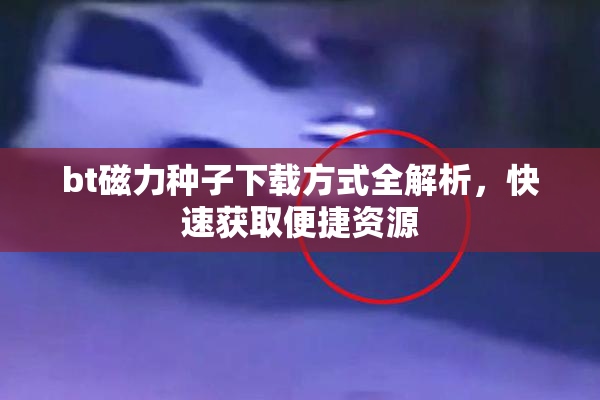 bt磁力种子下载方式全解析，快速获取便捷资源
