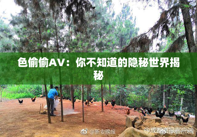 色偷偷AV：你不知道的隐秘世界揭秘