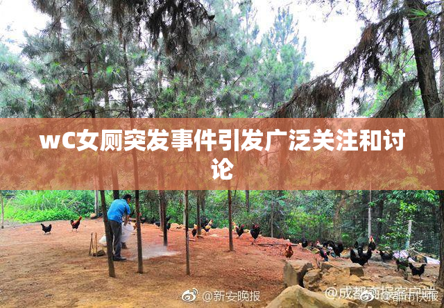 wC女厕突发事件引发广泛关注和讨论