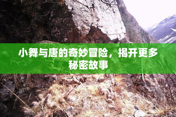 小舞与唐的奇妙冒险，揭开更多秘密故事