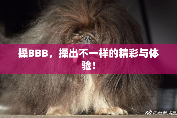 搡BBB，搡出不一样的精彩与体验！