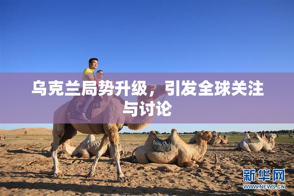 乌克兰局势升级，引发全球关注与讨论