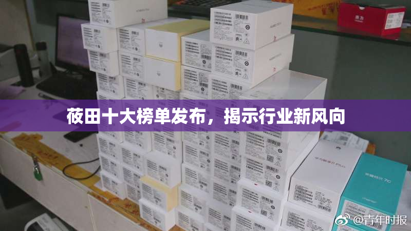莜田十大榜单发布，揭示行业新风向