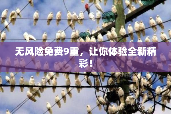 无风险免费9重，让你体验全新精彩！