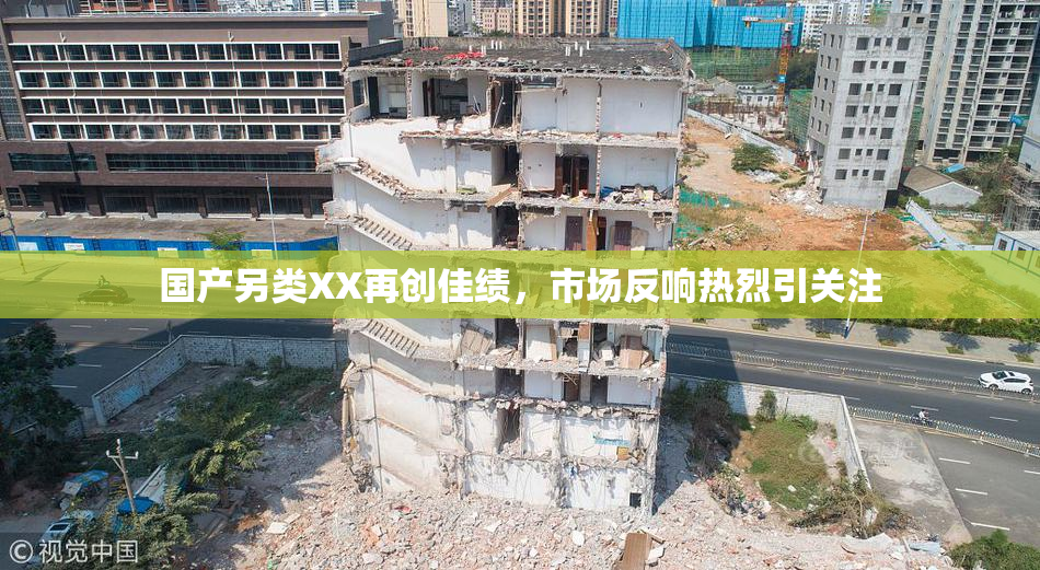国产另类XX再创佳绩，市场反响热烈引关注