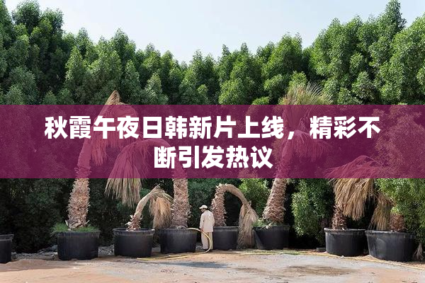 秋霞午夜日韩新片上线，精彩不断引发热议