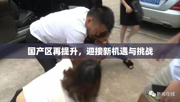 国产区再提升，迎接新机遇与挑战
