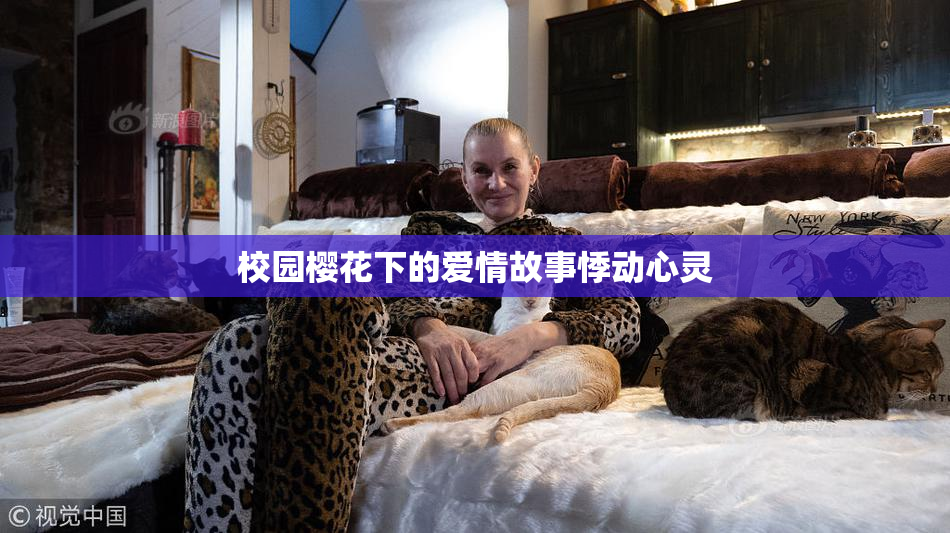 校园樱花下的爱情故事悸动心灵