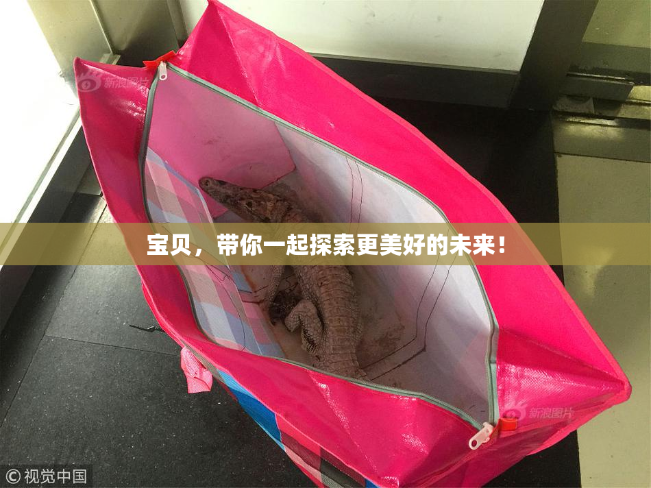 宝贝，带你一起探索更美好的未来！