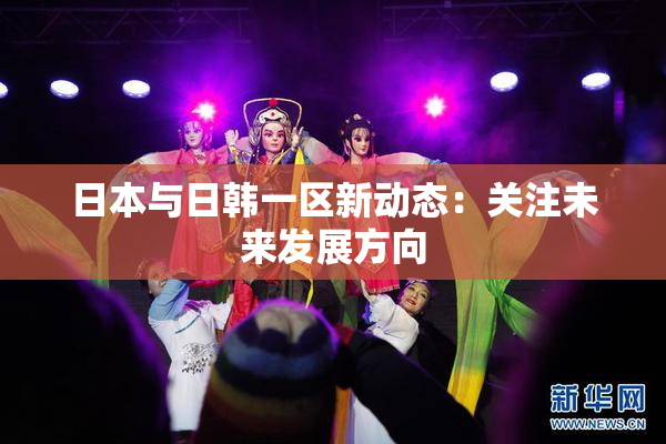 日本与日韩一区新动态：关注未来发展方向