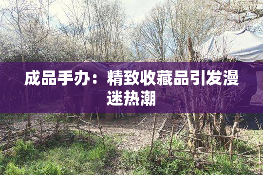 成品手办：精致收藏品引发漫迷热潮