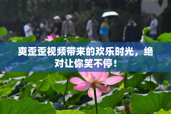 爽歪歪视频带来的欢乐时光，绝对让你笑不停！