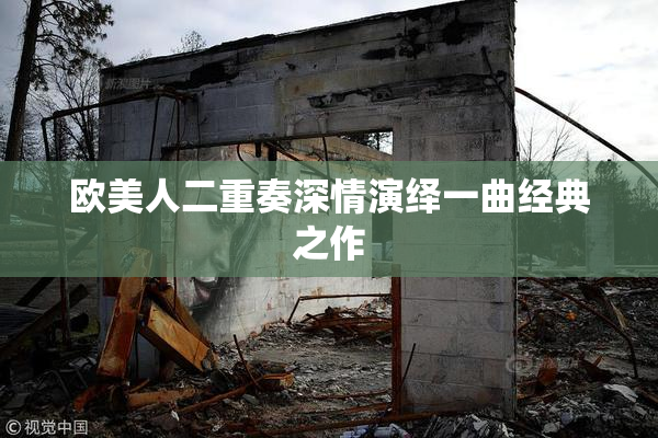 欧美人二重奏深情演绎一曲经典之作