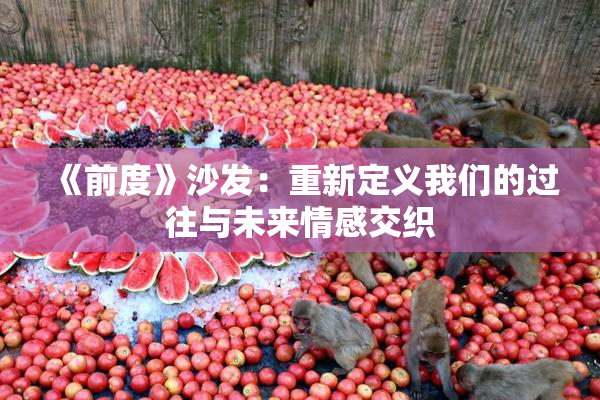 《前度》沙发：重新定义我们的过往与未来情感交织