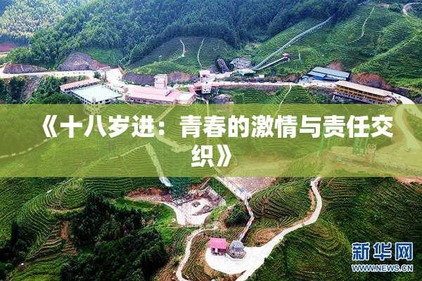 《十八岁进：青春的激情与责任交织》