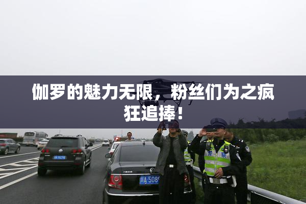 伽罗的魅力无限，粉丝们为之疯狂追捧！