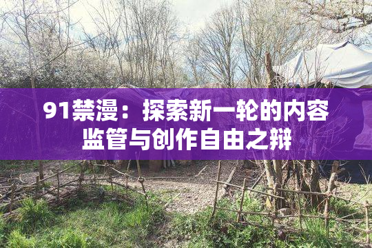 91禁漫：探索新一轮的内容监管与创作自由之辩