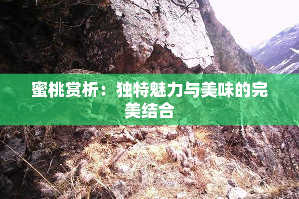 蜜桃赏析：独特魅力与美味的完美结合