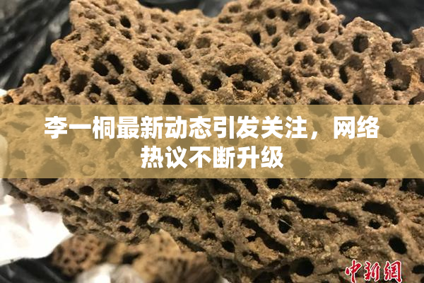 李一桐最新动态引发关注，网络热议不断升级