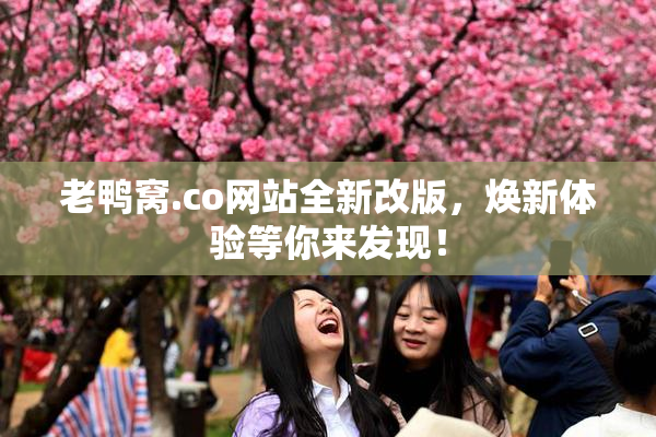 老鸭窝.co网站全新改版，焕新体验等你来发现！