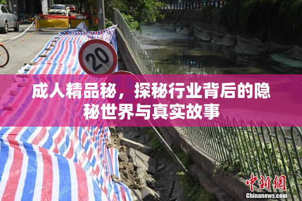 成人精品秘，探秘行业背后的隐秘世界与真实故事
