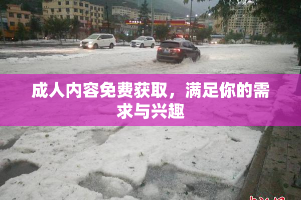 成人内容免费获取，满足你的需求与兴趣
