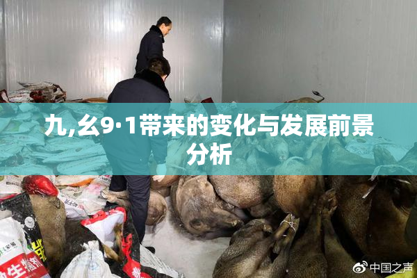 九,幺9·1带来的变化与发展前景分析