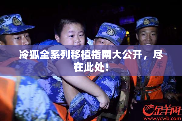 冷狐全系列移植指南大公开，尽在此处！