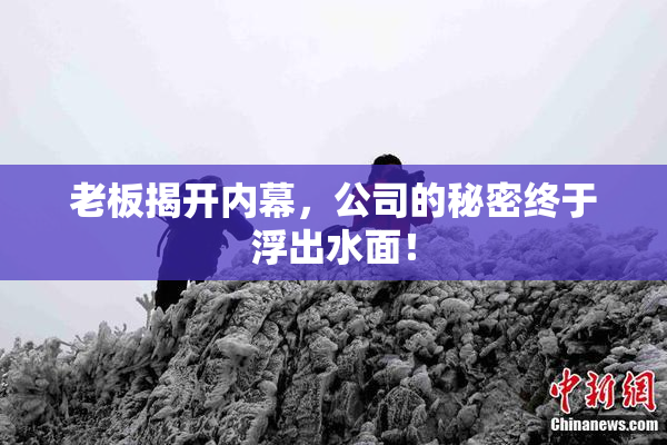 老板揭开内幕，公司的秘密终于浮出水面！