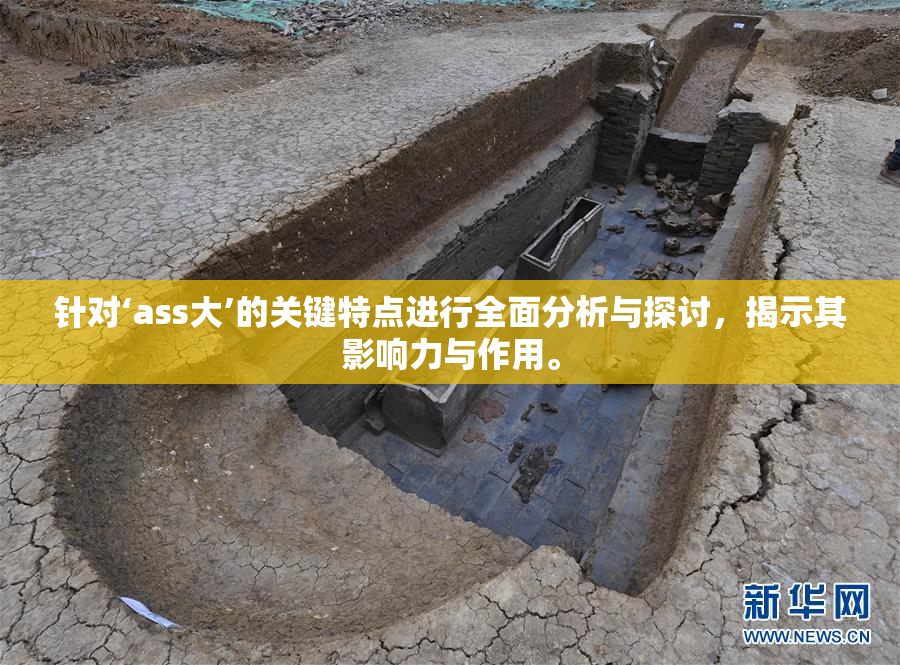 针对‘ass大’的关键特点进行全面分析与探讨，揭示其影响力与作用。