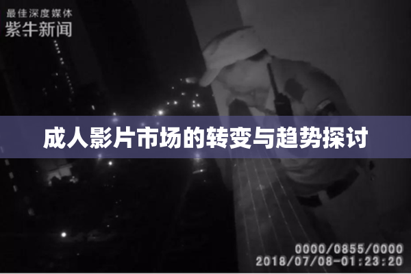 成人影片市场的转变与趋势探讨