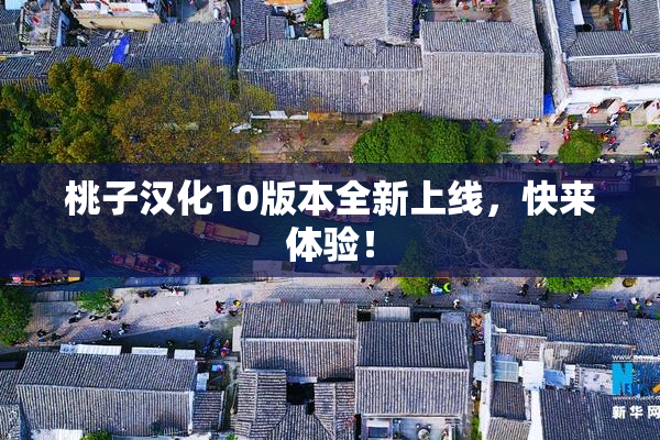桃子汉化10版本全新上线，快来体验！