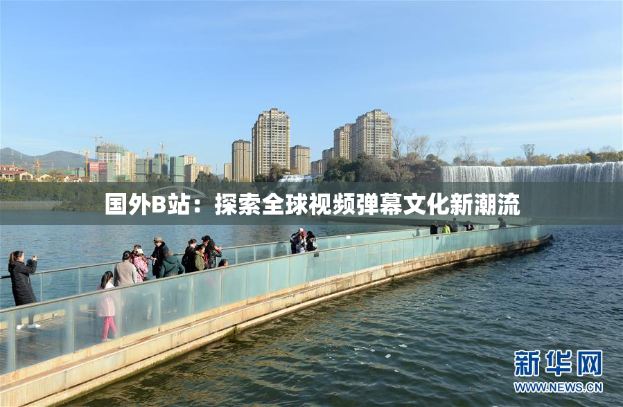 国外B站：探索全球视频弹幕文化新潮流