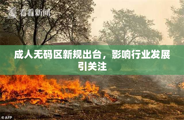 成人无码区新规出台，影响行业发展引关注