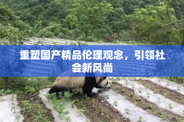 重塑国产精品伦理观念，引领社会新风尚