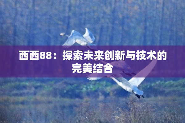 西西88：探索未来创新与技术的完美结合