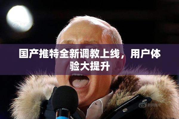 国产推特全新调教上线，用户体验大提升