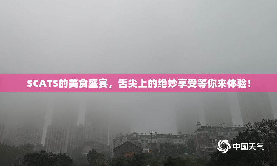 SCATS的美食盛宴，舌尖上的绝妙享受等你来体验！