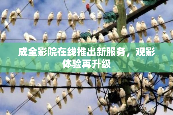 成全影院在线推出新服务，观影体验再升级